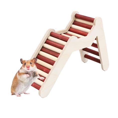 hamster ladder